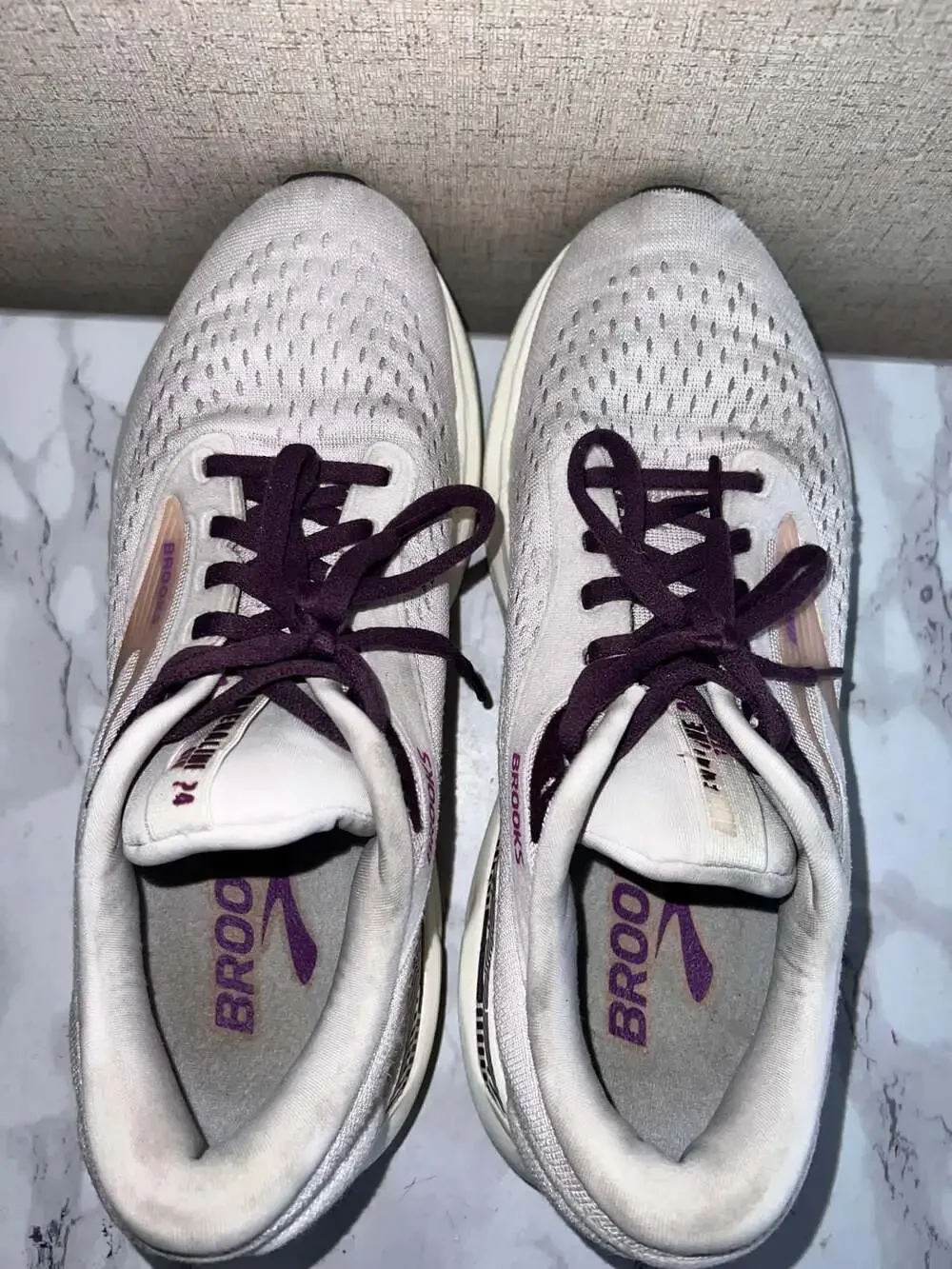 Brooks 24 orchid 04